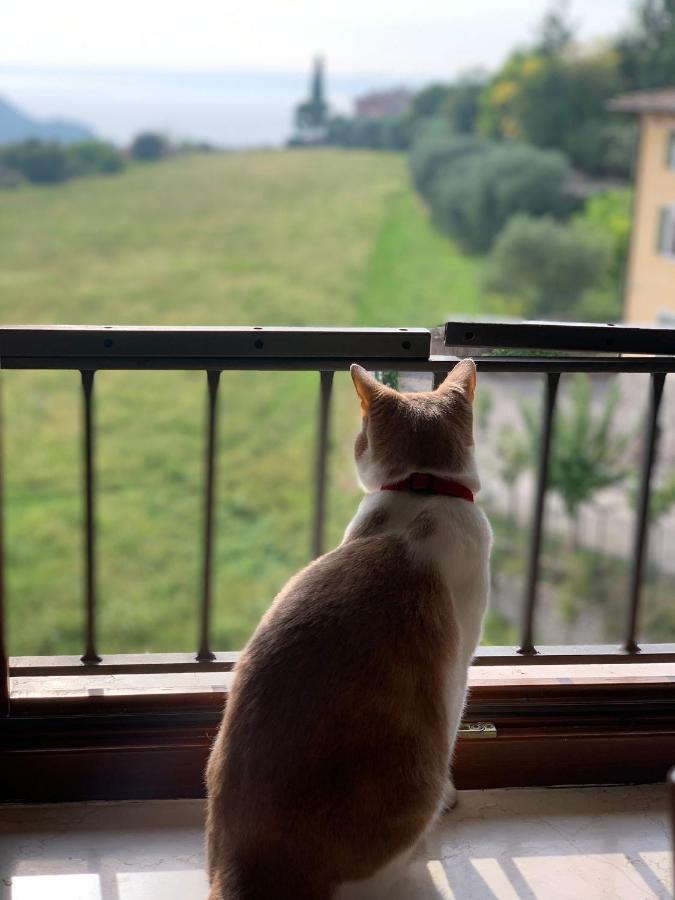 Cielo * Costermano